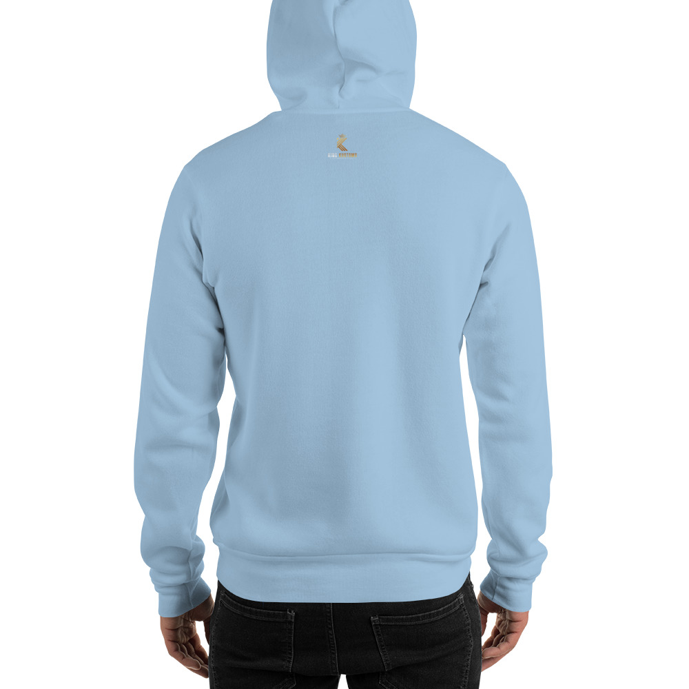 unisex-heavy-blend-hoodie-light-blue-back-64cb9c5c2bf4b.jpg